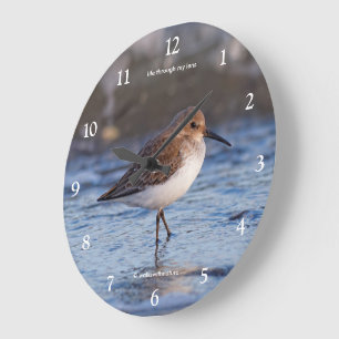 Grande Horloge Ronde Joli Bécasseau Variable Promeneur sur la Plage d'H