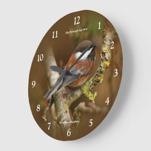 Grande Horloge Ronde Joli mésange à dos marron chanteur dans l'arbre