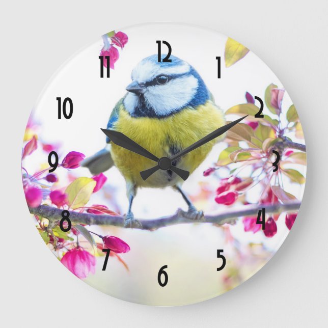 Grande Horloge Ronde Joli oiseau bleu et jaune sur une branche Photogra (Recto)