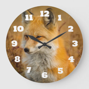 Grande Horloge Ronde Jote Red Fox Wilderness Nature Photographie