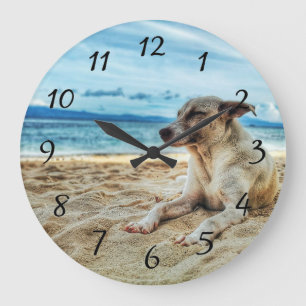 Grande Horloge Ronde Journée de farniente des chiens à la plage, au s