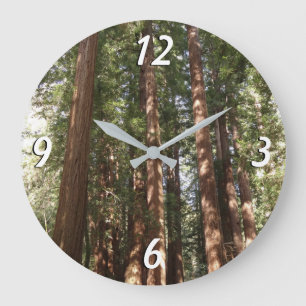 Grande Horloge Ronde Jusqu'à Redwoods II au monument national de Muir W