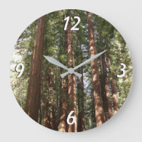Jusqu'aux séquoias II à Muir Woods National Monume