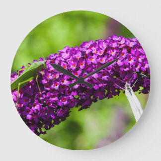 Grande Horloge Ronde katydid energy