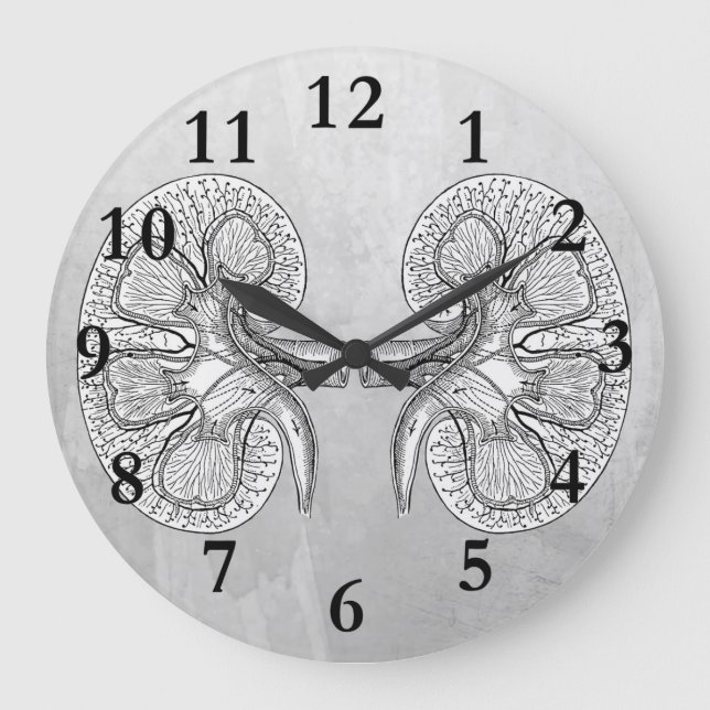 GRANDE HORLOGE RONDE KIDNEY 2 (Recto)