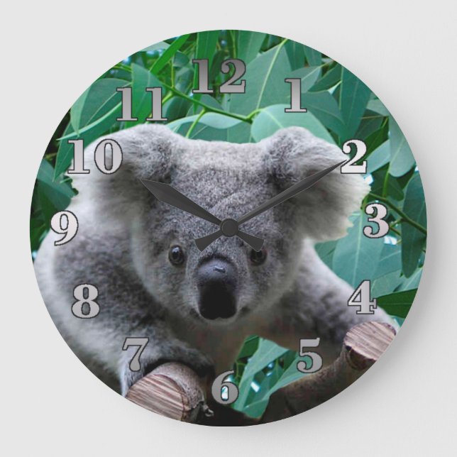 Grande Horloge Ronde Koala et Eucalyptus (Recto)