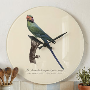 Grande Horloge Ronde La Perruche a nuque et joues rouges