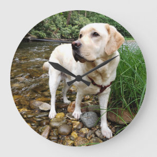 Grande Horloge Ronde Laboratoire jaune, chien d'eau jouant dans un ruis