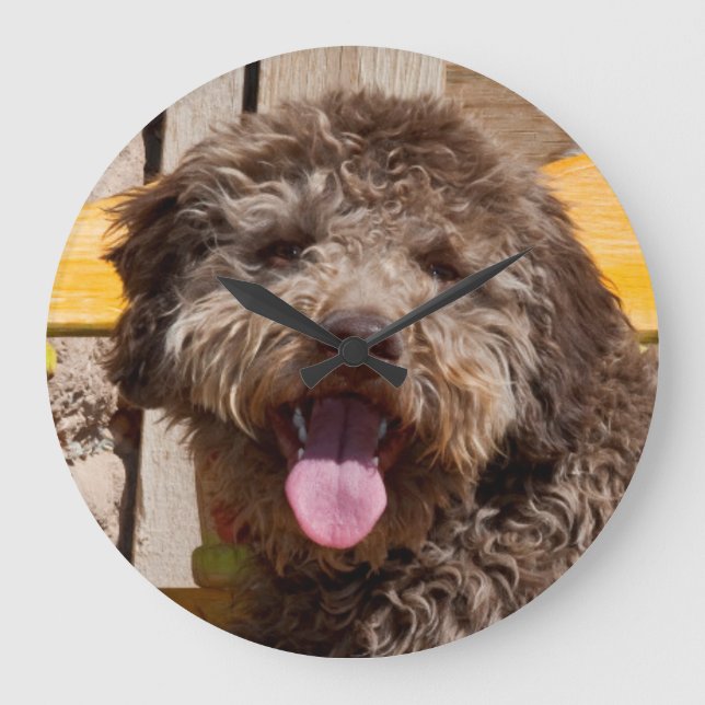Grande Horloge Ronde Lagotto Romagnolo Allongé Sur Un Banc En Bois (Recto)