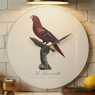 Grande Horloge Ronde Le Lori écaille / Lori à raies bleues 
