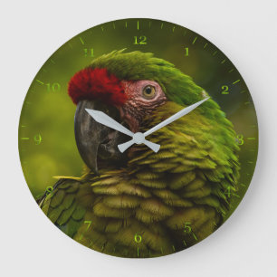 Grande Horloge Ronde Le perroquet vert de Macaw