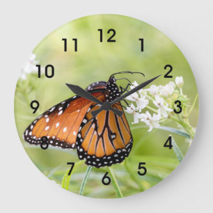 Grande Horloge Ronde Le soleil de papillon de la reine sur l'algue