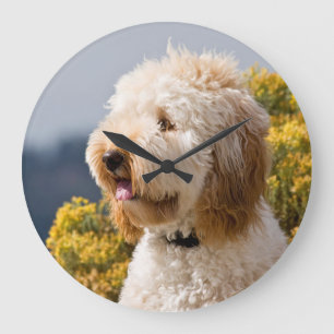 Grande Horloge Ronde Les Etats-Unis, la Californie. Portrait de