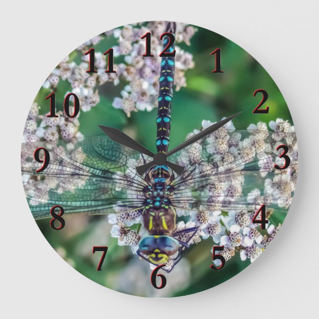 Grande Horloge Ronde libellule (Recto)