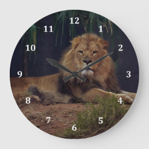 Grande Horloge Ronde Lion Garder La Garde Sur Sa Fierté
