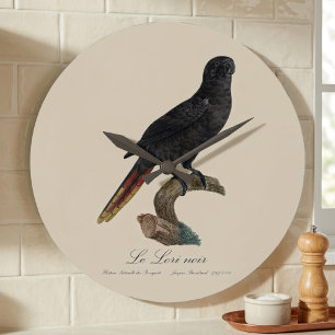 Grande Horloge Ronde Lori noir ou Lori à bec rouge, Chalcopsitta atra