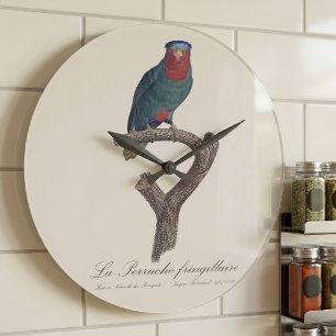 Grande Horloge Ronde Loriquet à couronne bleue, Vini Australis