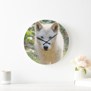 Grande Horloge Ronde Loup Gris, Photographie d'Animaux Canadiens