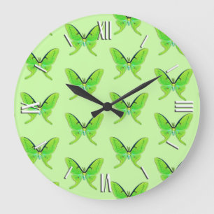 Grande Horloge Ronde Luna moth sur un arrière - plan vert pâle