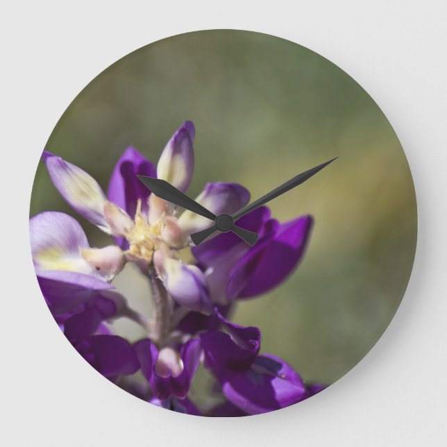 Grande Horloge Ronde Lupine (Recto)