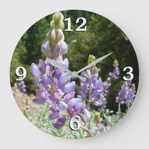 Grande Horloge Ronde Lupins de montagne à Yosemite