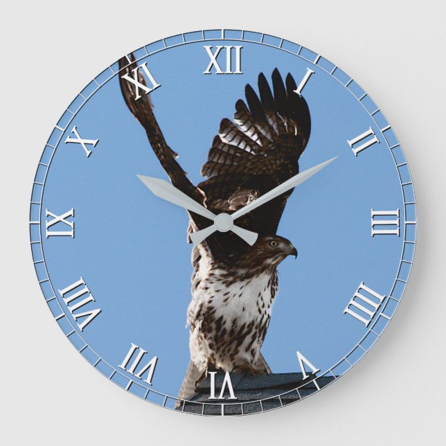 Grande Horloge Ronde Magnificent Red-Tailed Hawk Raptor Bird of Prey (Recto)