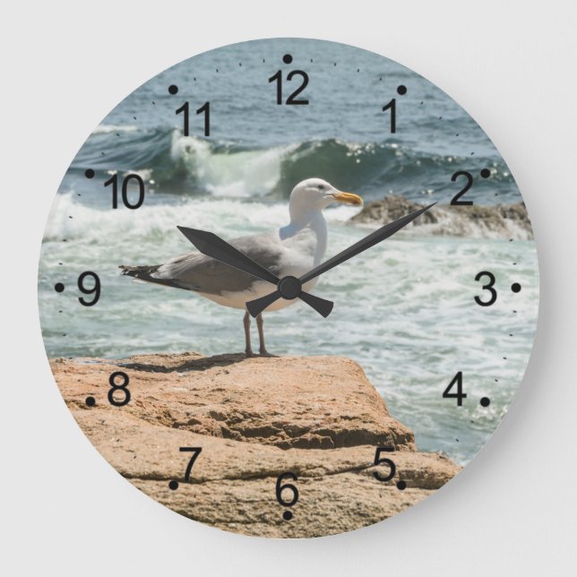 Grande Horloge Ronde Maine coast Ocean Seagull  (Recto)
