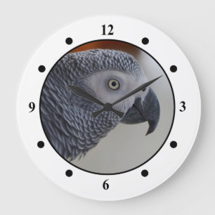 Grande Horloge Ronde Majestic African Grey Parrot