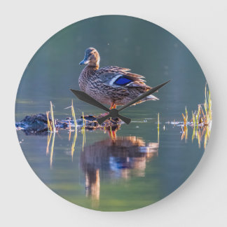 Grande Horloge Ronde Mallard duck