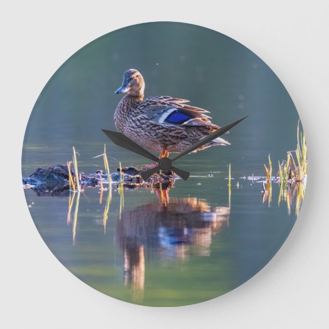 Grande Horloge Ronde Mallard duck (Recto)