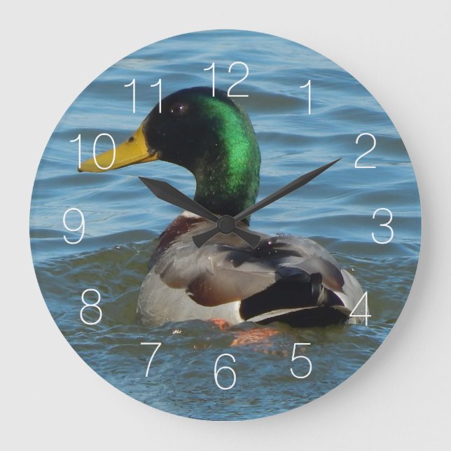Grande Horloge Ronde Mallard Duck (Recto)