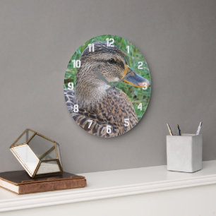 Grande Horloge Ronde Mallard Duck Hen Photo