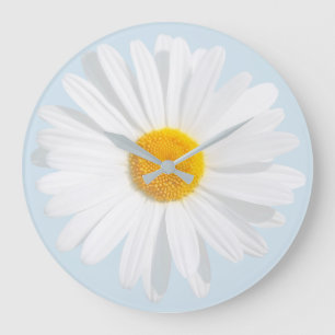 Grande Horloge Ronde marais blanc