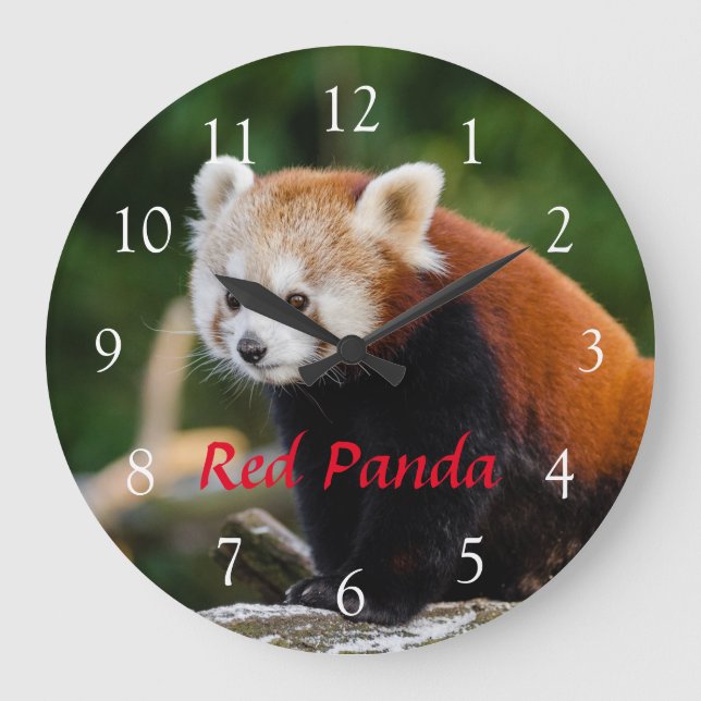Grande Horloge Ronde Mare Rouge Panda Nature Photo Texte rouge (Recto)