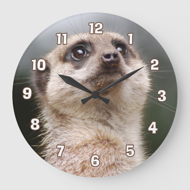 Grande Horloge Ronde Meerkat Wall (Recto)