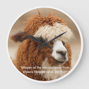 Grande Horloge Ronde Meilleure Monobrow d'Alpaca