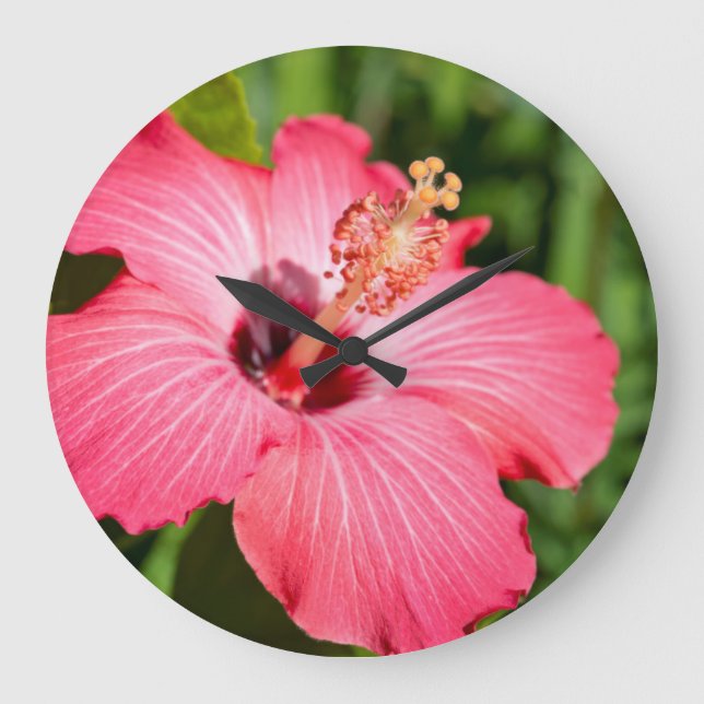 Grande Horloge Ronde Michigan, décarborn. Détail de Pink Hibiscus (Recto)