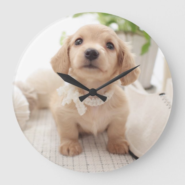 Grande Horloge Ronde Miniature Dachshund (Recto)