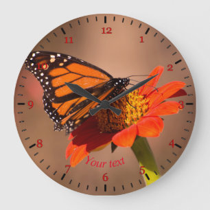 Grande Horloge Ronde Monarch butterfly on tithonia flower