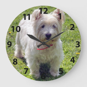 Grande Horloge Ronde Montagne Terrier blanc occidentale