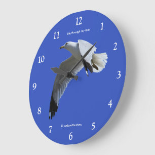 Grande Horloge Ronde Mouette à bec cerclé époustouflante en vol