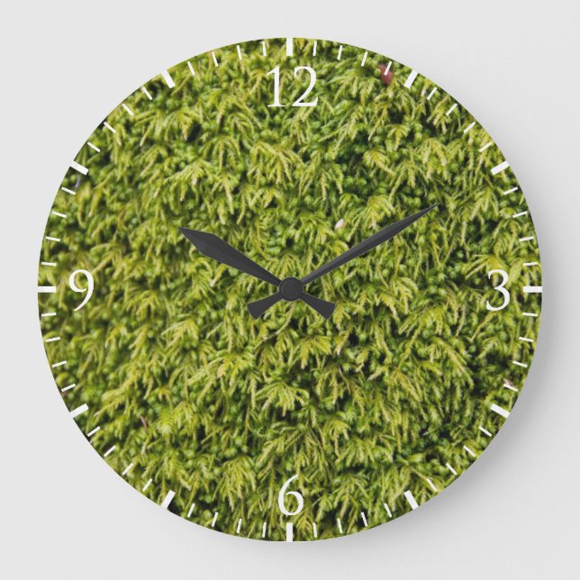Grande Horloge Ronde Mousse verte (Recto)