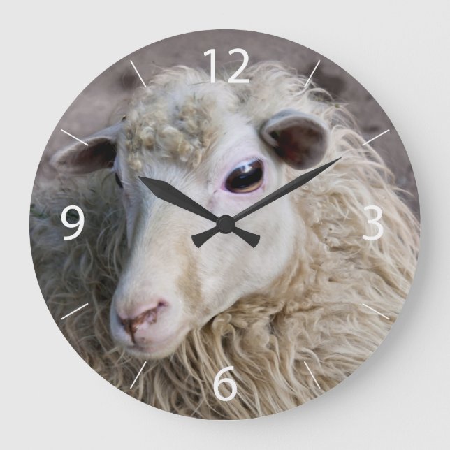 Grande Horloge Ronde Moutons drôles (Recto)
