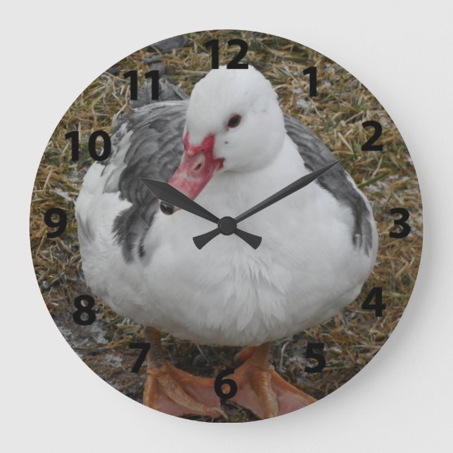 Grande Horloge Ronde Muscovy Duck Clock (Recto)