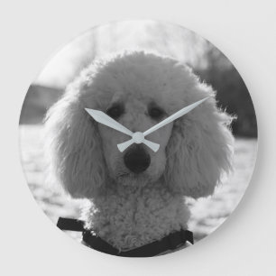 Grande Horloge Ronde Noir et blanc Poodé visage Chiot yeux