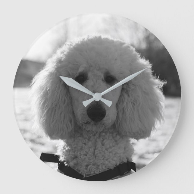 Grande Horloge Ronde Noir et blanc Poodé visage Chiot yeux (Recto)