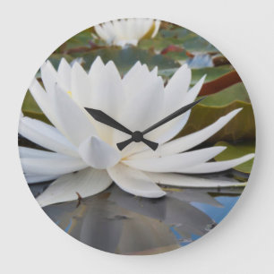 Grande Horloge Ronde Nymphéa odorant (Nymphaea Odorata) sur Caddo