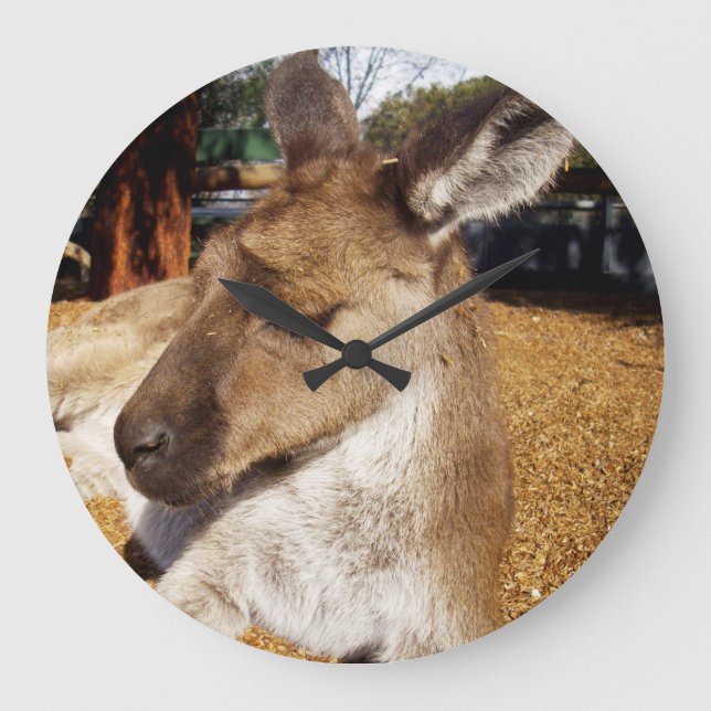 Grande Horloge Ronde Oh, Sleepy Kangaroo, (Recto)