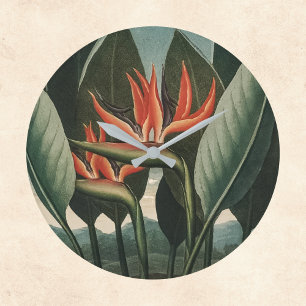 Grande Horloge Ronde Oiseau du Paradis Temple Vintage de Flora Botaniqu