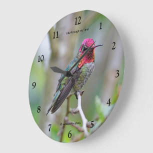 Grande Horloge Ronde Oiseau-mouche d'Anna mâle époustouflant sur le pru